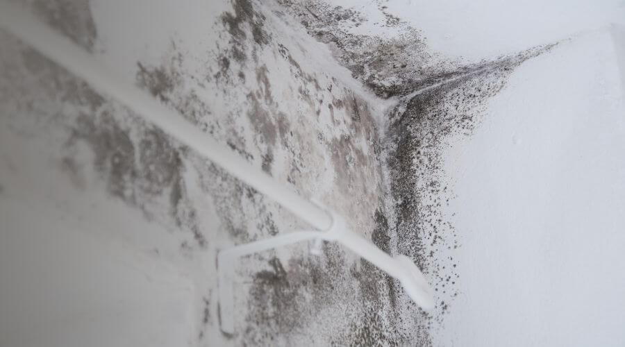 Why choose HavenSprout for water damage restoration in Allentown